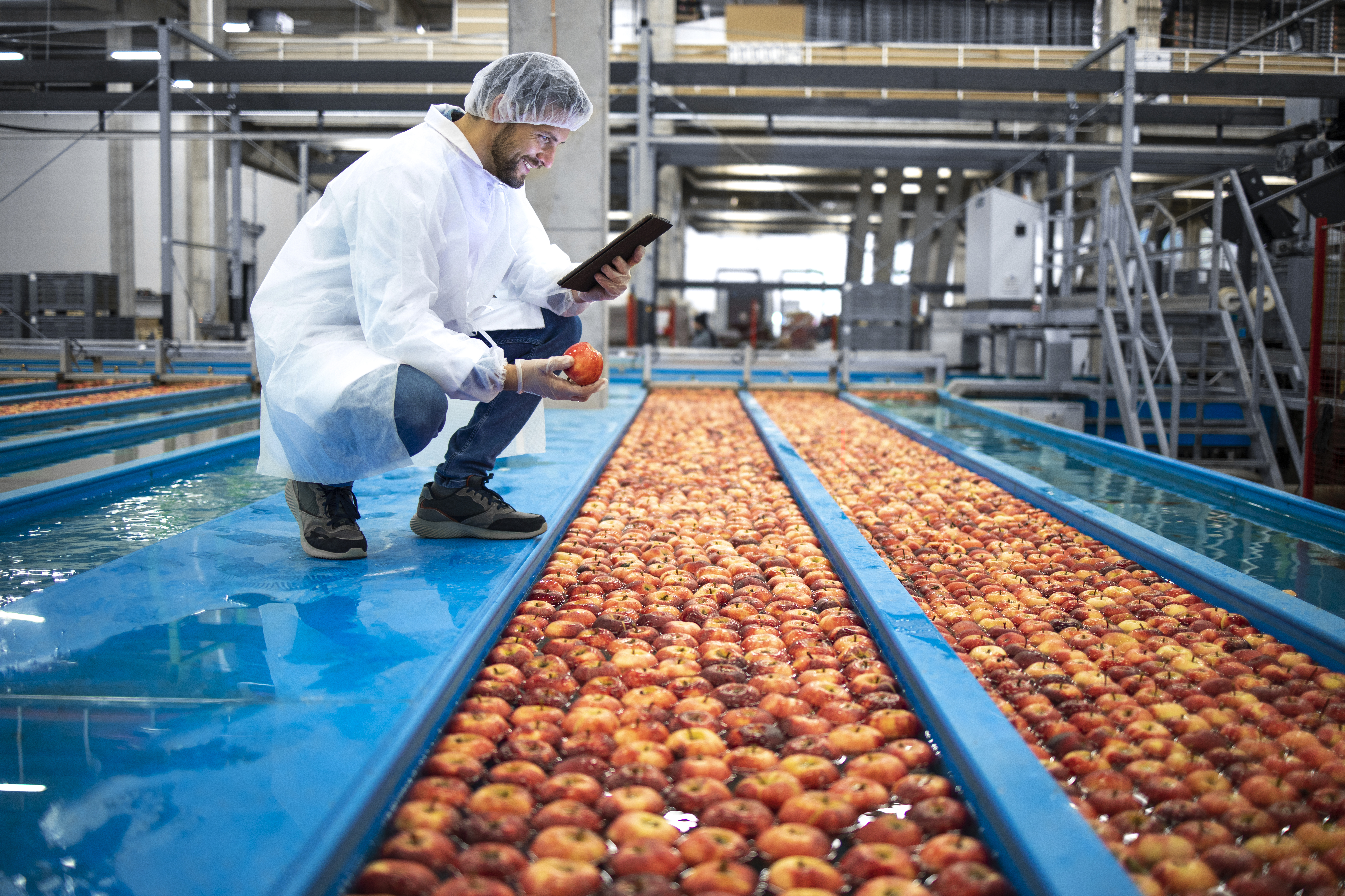 Un homme dans une usine qui contrôle la qualité de ses pommes