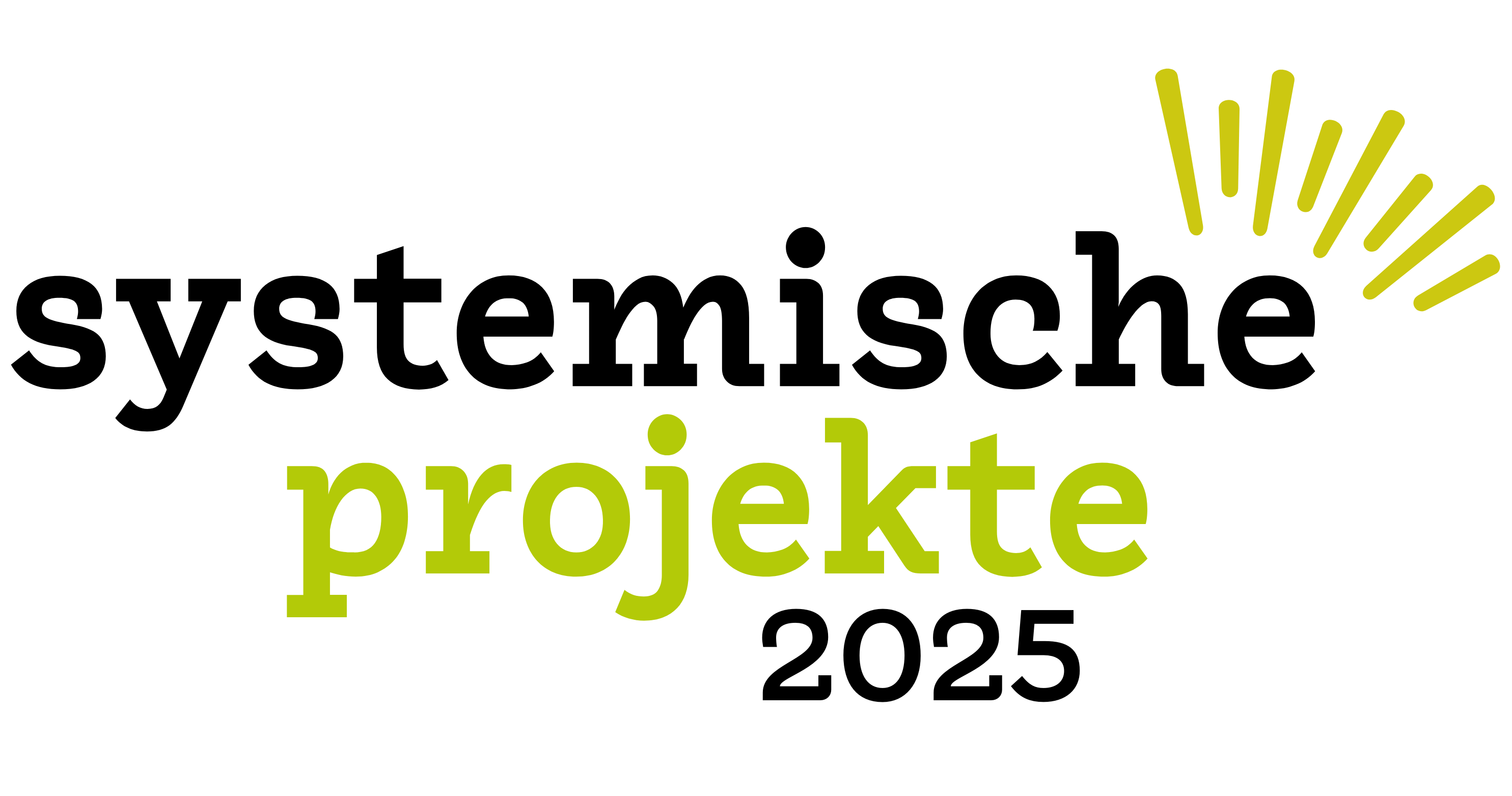 Systemische Projekte 2025