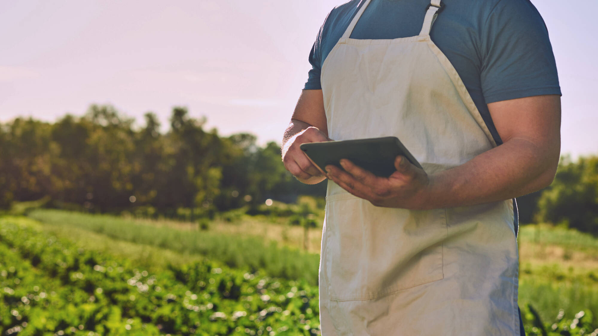 Agriculteur dans un champ