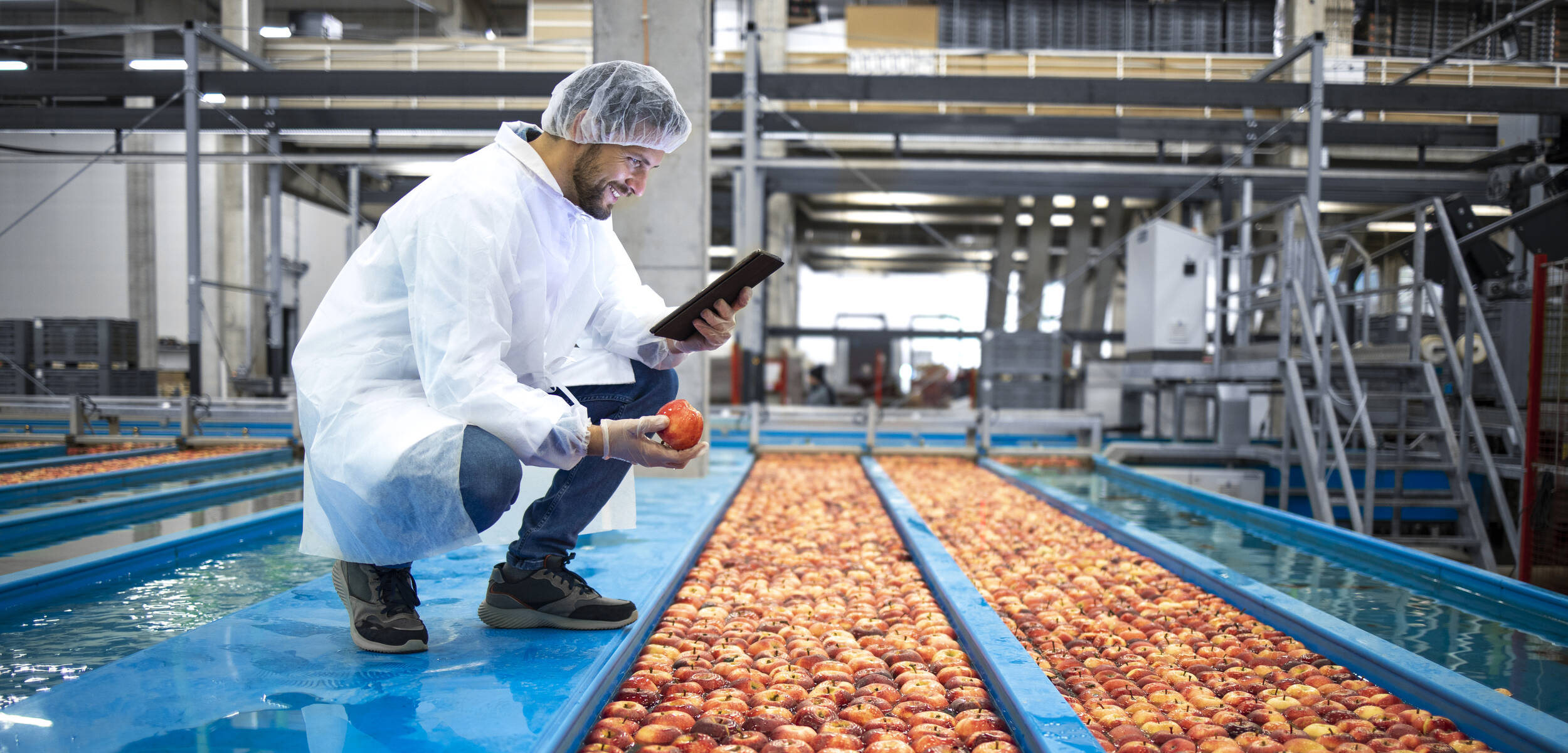 Un homme dans une usine qui contrôle la qualité de ses pommes