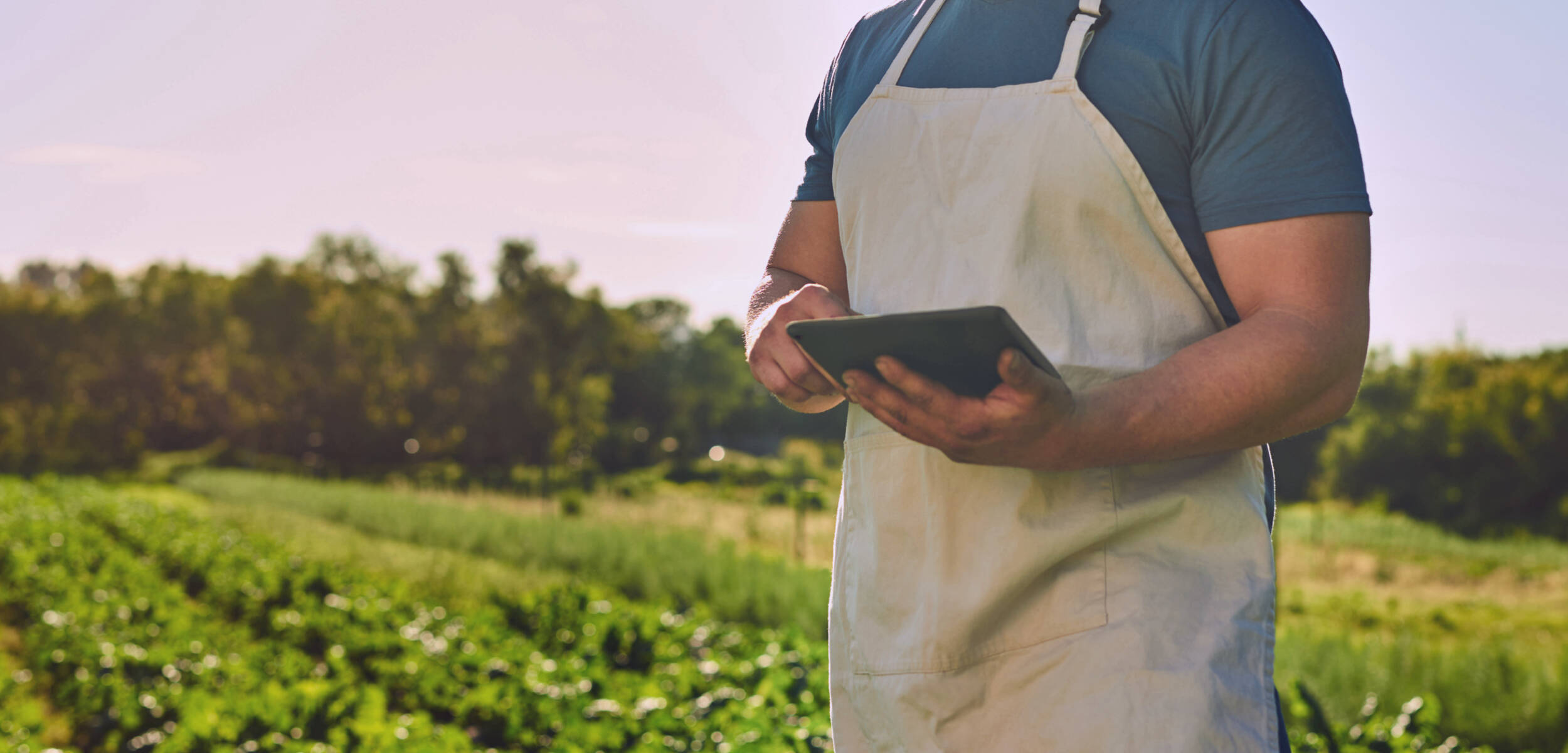 Agriculteur dans un champ