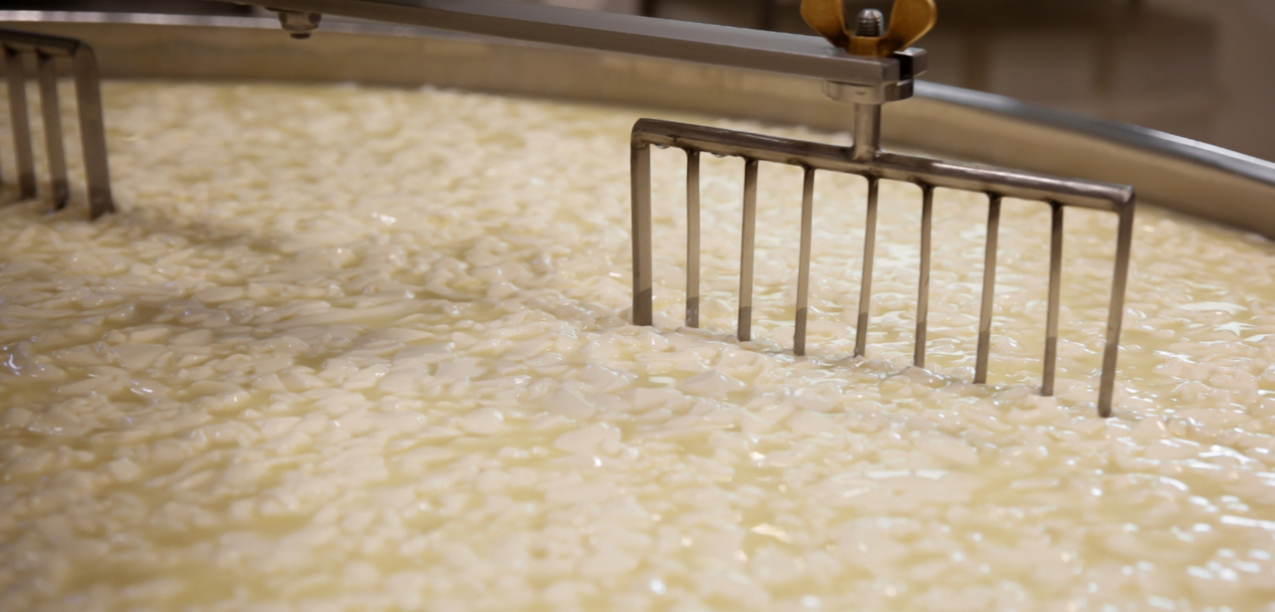 Cuve à fromage de brassage