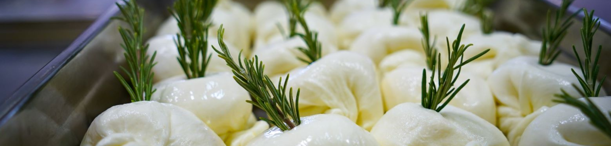 Les burrata fribourgeoises de Noula