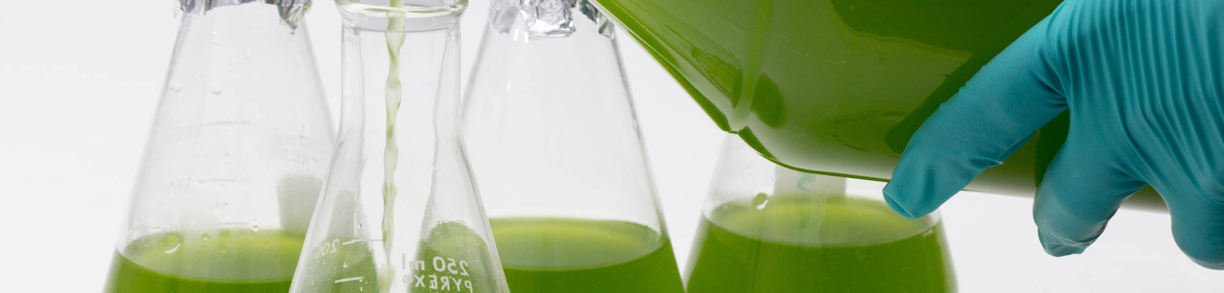 une personne versant une solution verte dans une fiole