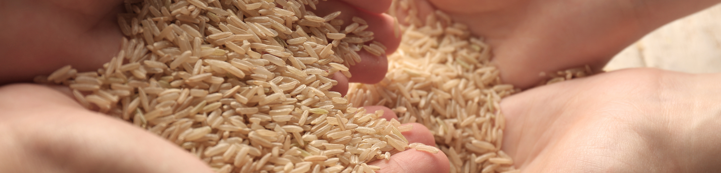 Maint tenant du riz