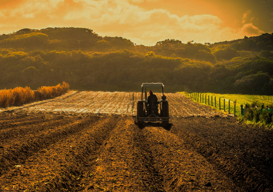 Un tracteur dans un champs