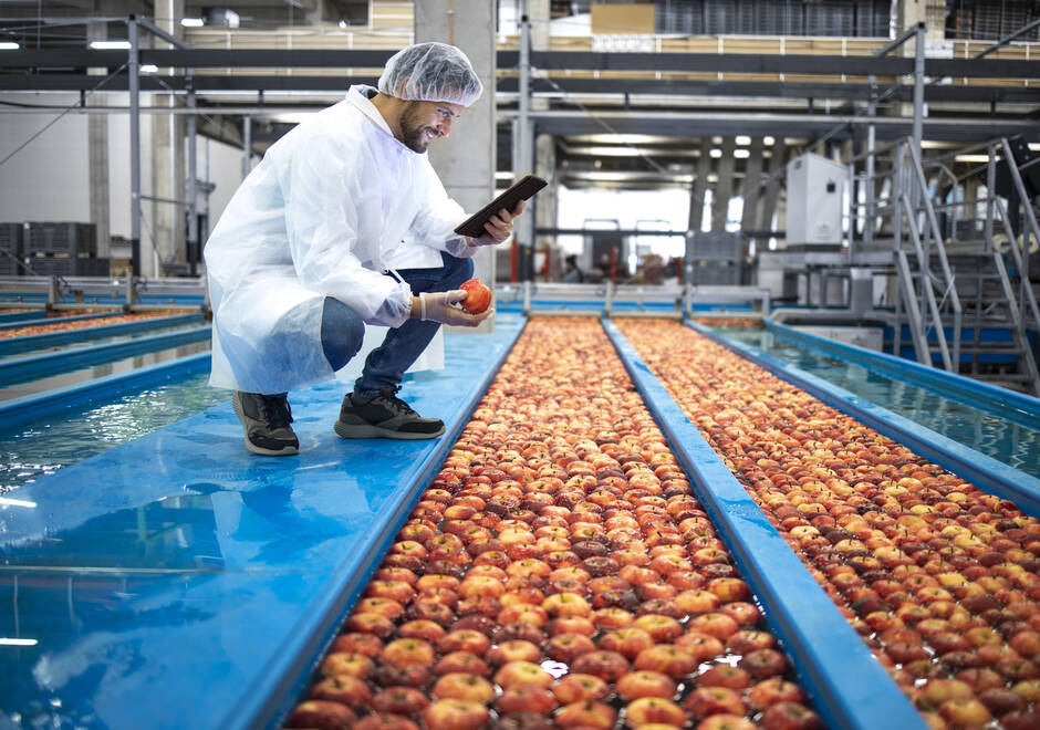 Un homme dans une usine qui contrôle la qualité de ses pommes