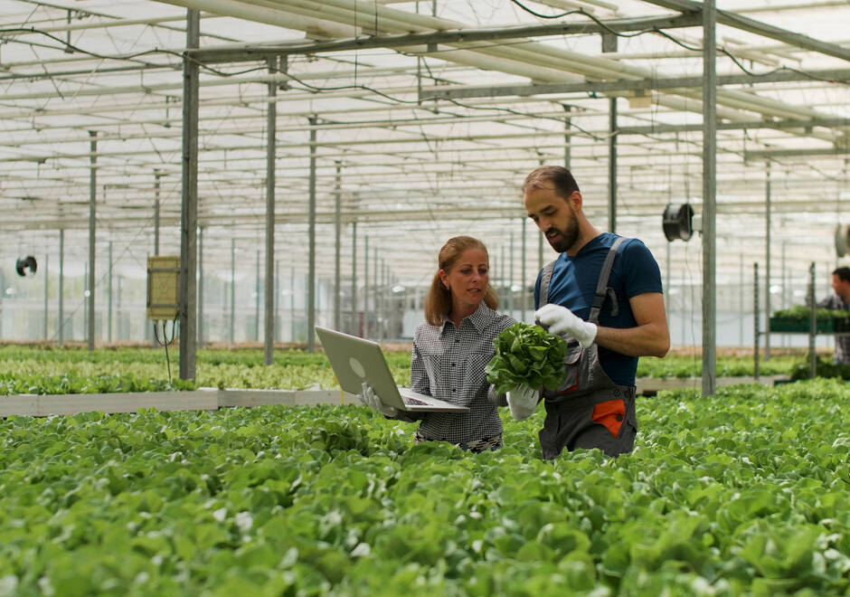 Un homme et une femme travaillant au milieu d'une serre