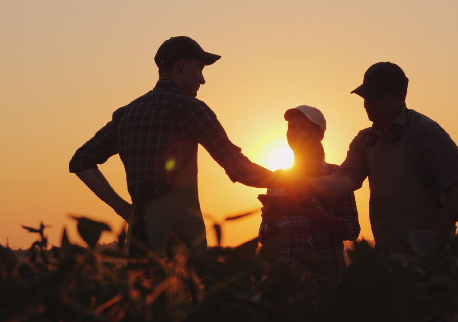 Trois agriculteurs dans un champs au coucher de soleil