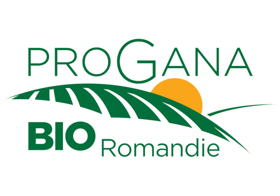 Logo Progana