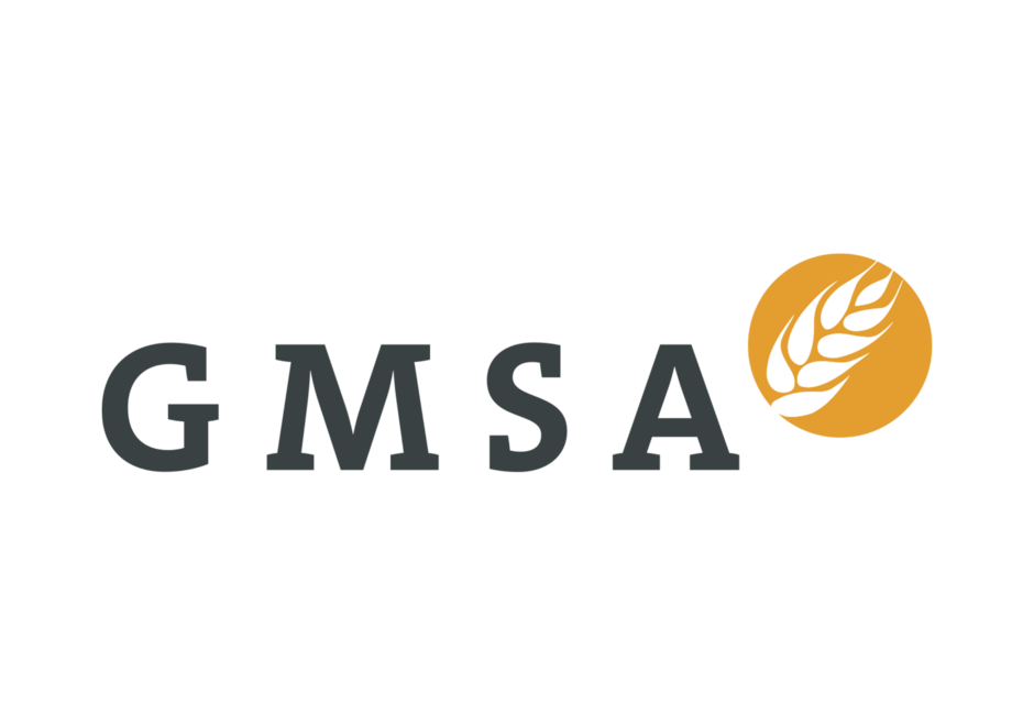 GMSA