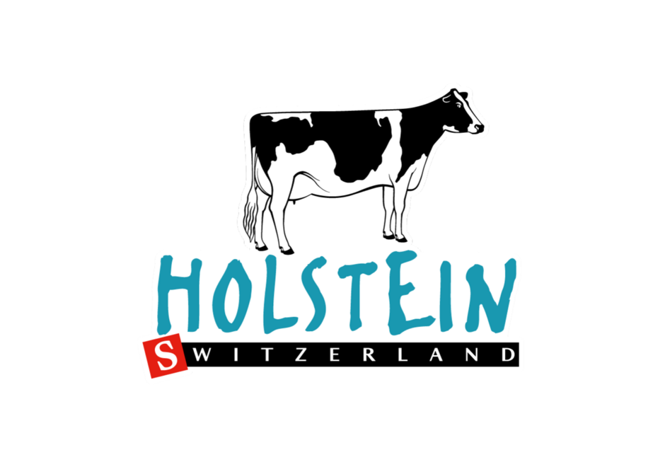 Holstein