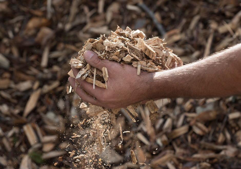 Copeaux de bois