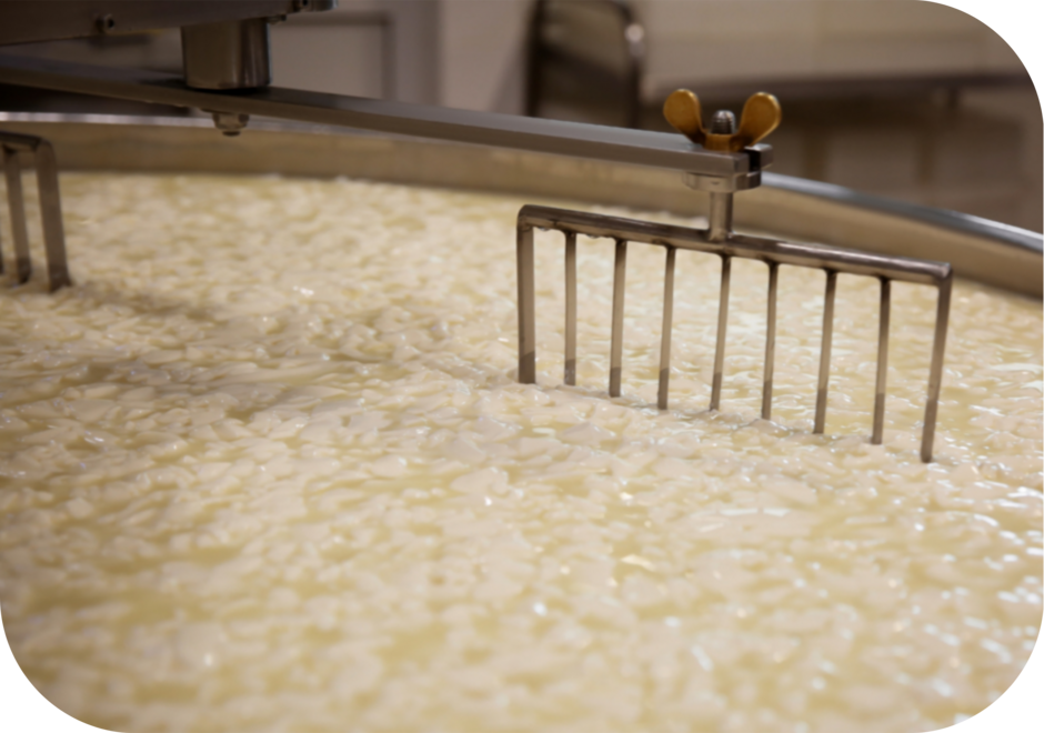 Pistes pour une autonomie énergétique des fromageries